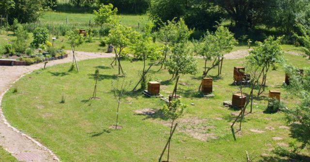 Landhotel Zum Honigdieb Ribnitz-Damgarten Bagian luar foto